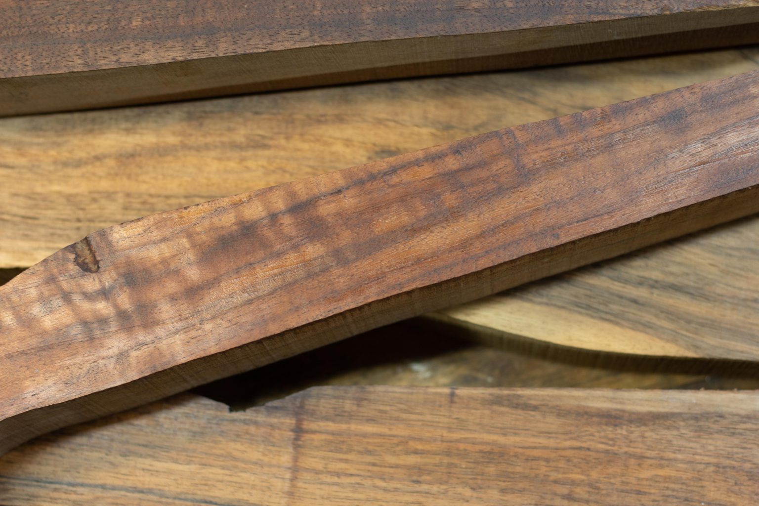 The Types Of Walnut For Gunstocks: A Complete Look