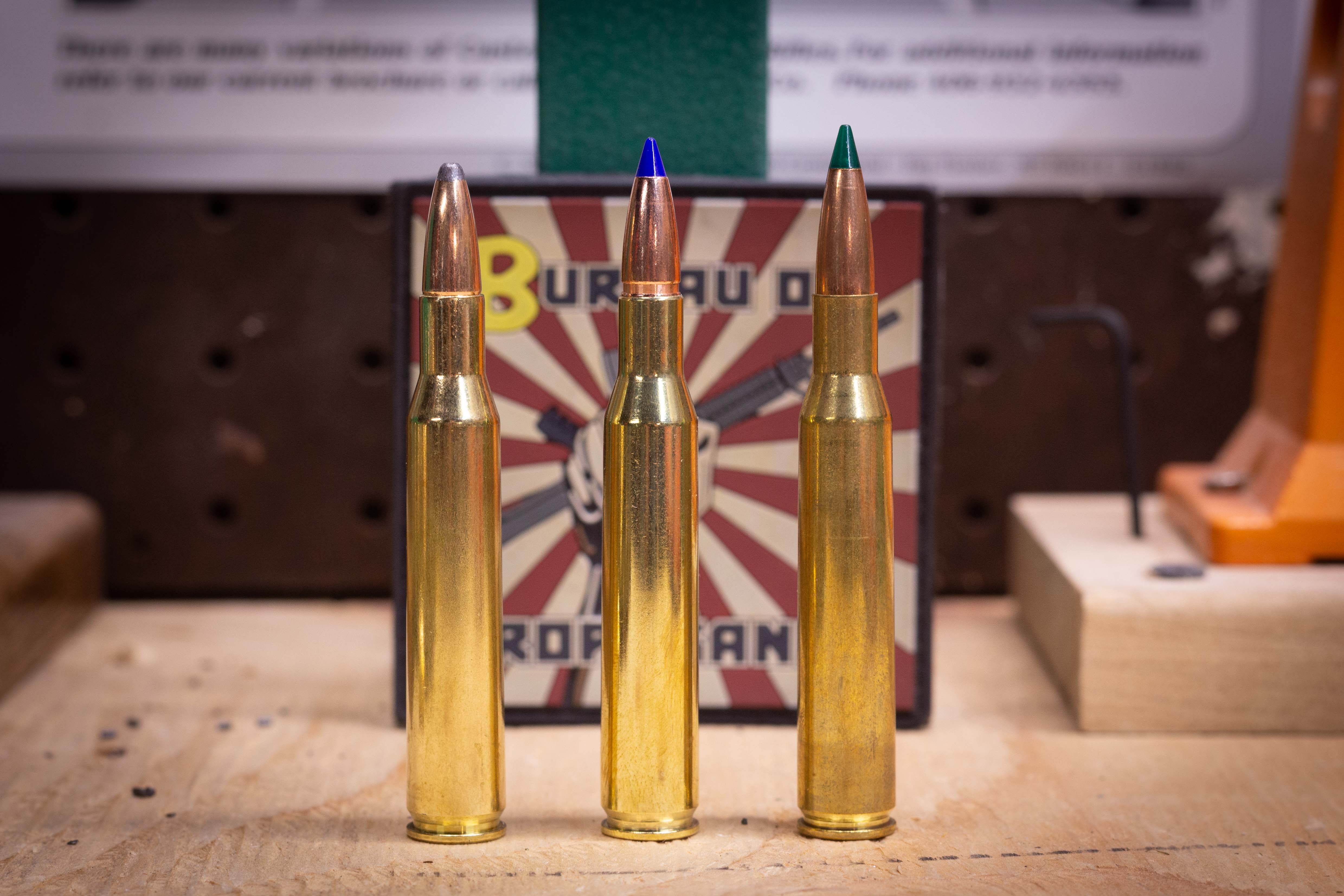 270 Winchester Bullet Choice