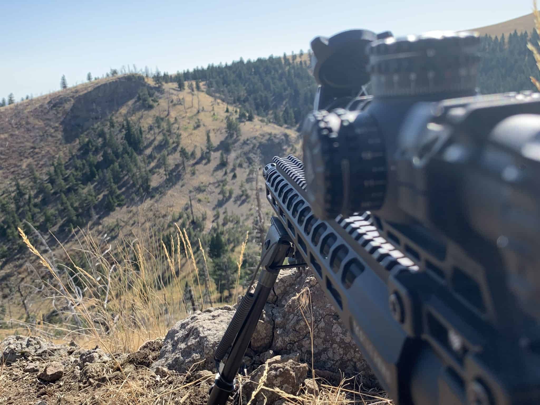 Rifle Sight Height: Is It Really That Important?