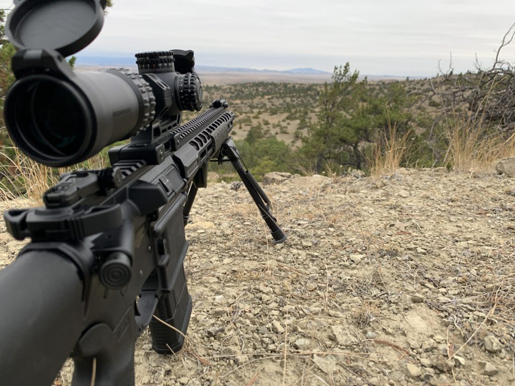 Long range shooting with the swampfox arrowhead