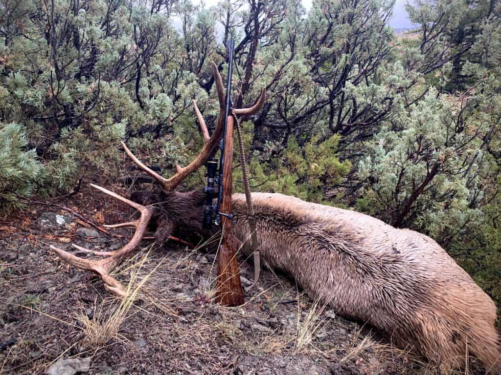 G33/40 Elk hunt
